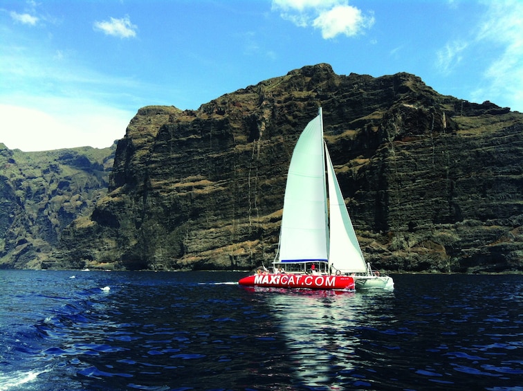 Eco-Catamaran Cruise from Puerto Colon with transfer