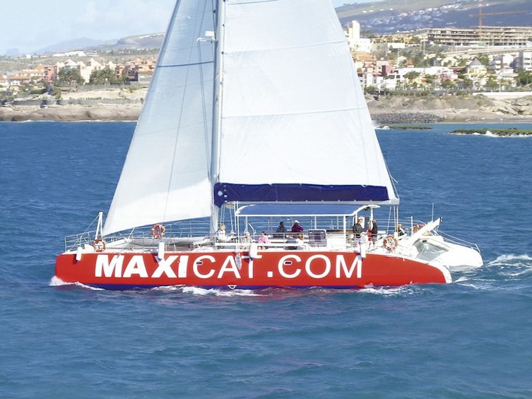 Eco-Catamaran Cruise from Puerto Colon with transfer