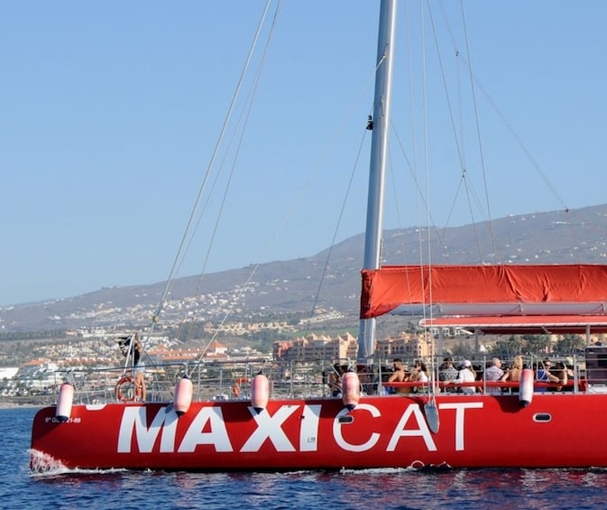 Eco-Catamaran Cruise from Puerto Colon with transfer