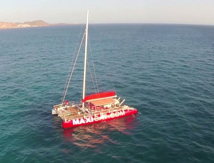 Eco-Catamaran Cruise from Puerto Colon with transfer
