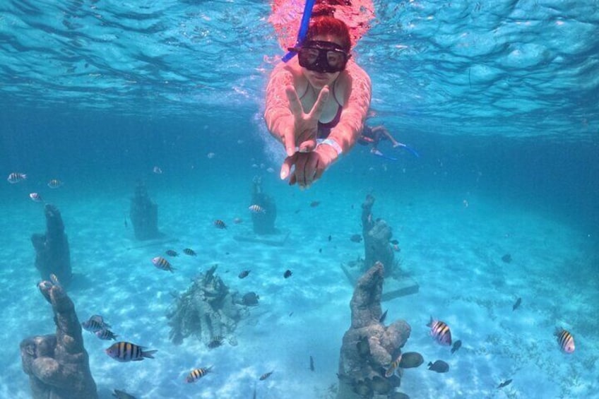 Underwater museum snorkeling catamaran