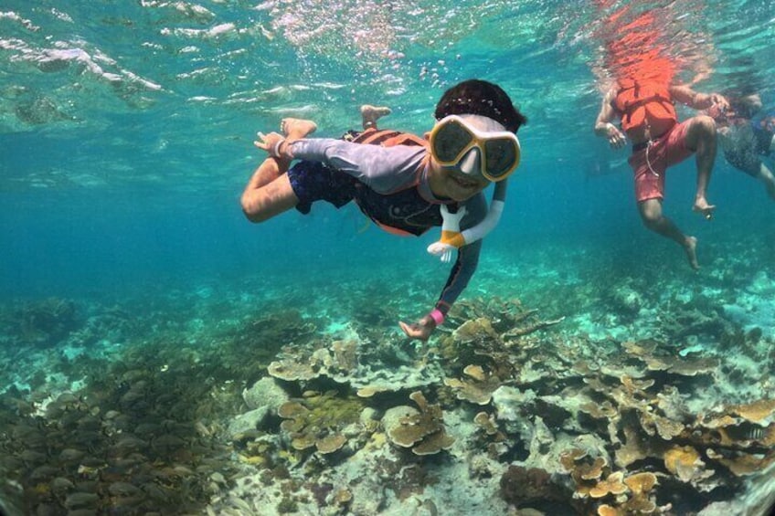Kids friendly snorkeling