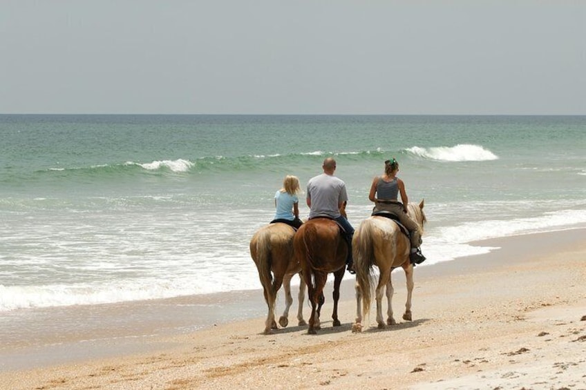 Negril Horseback “ SPECIAL”. Beach Ride N’ Swim, Free unlimited photos/videos!