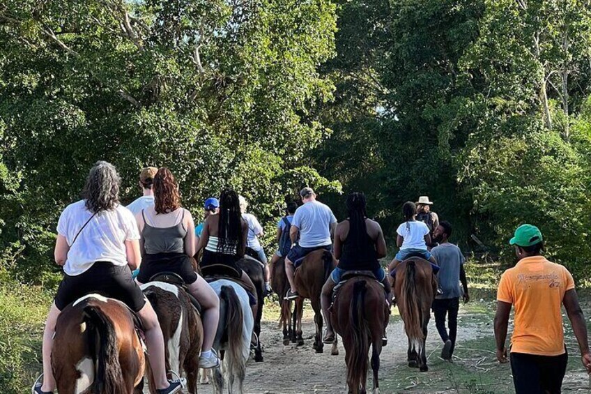 No riding experience needed as our horses are the most quiet & gentle with our lost experienced walking guides at your sides.