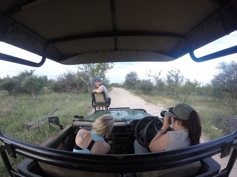 4 Day Lodge and Treehouse Kruger National Park Safari