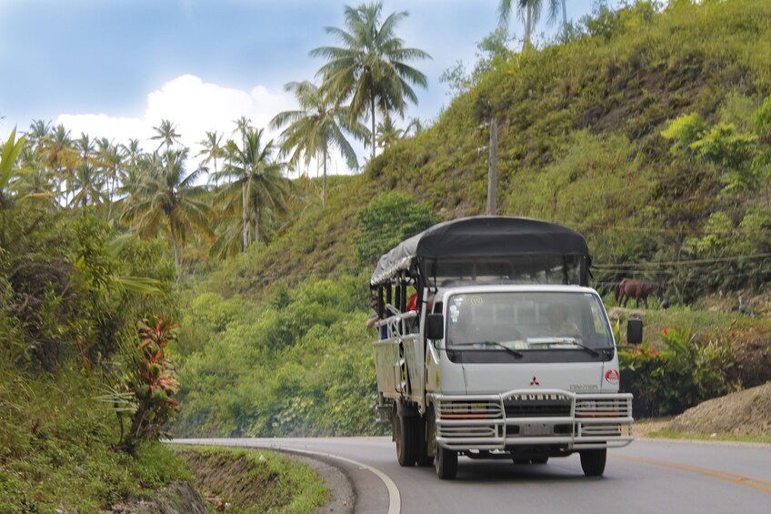 Extreme Ziplines from Samana