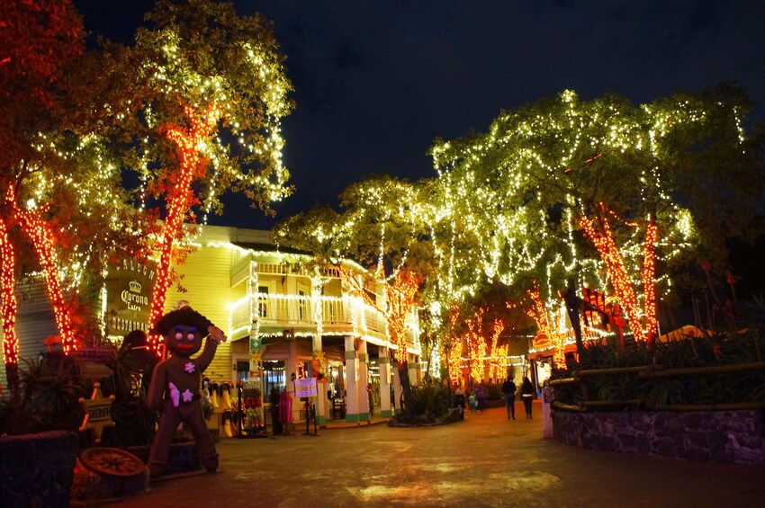Admission to Six Flags Mexico with roundtrip transportation
