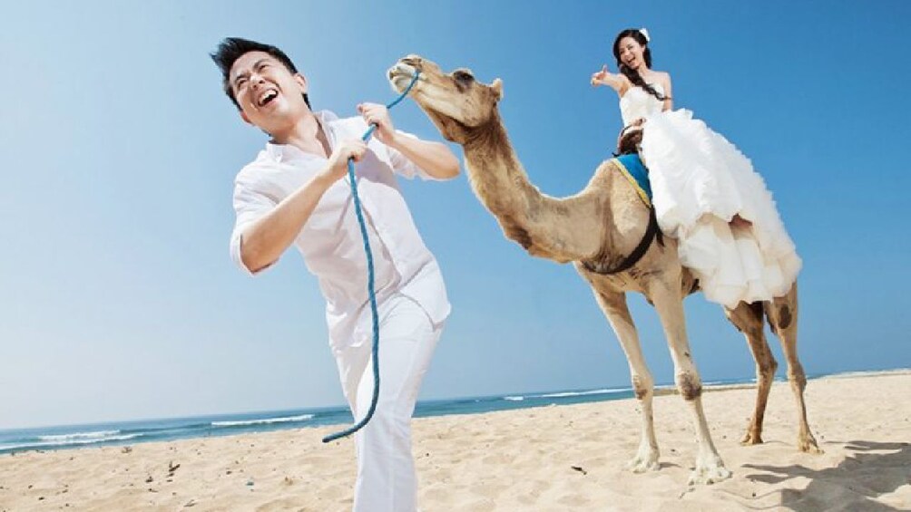 Bali Camel Safari
