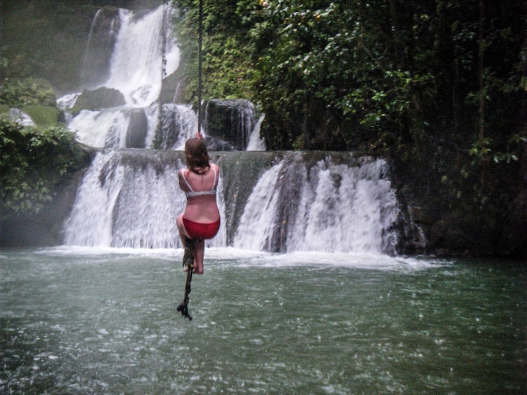 Black River Safari and YS Falls with Lunch