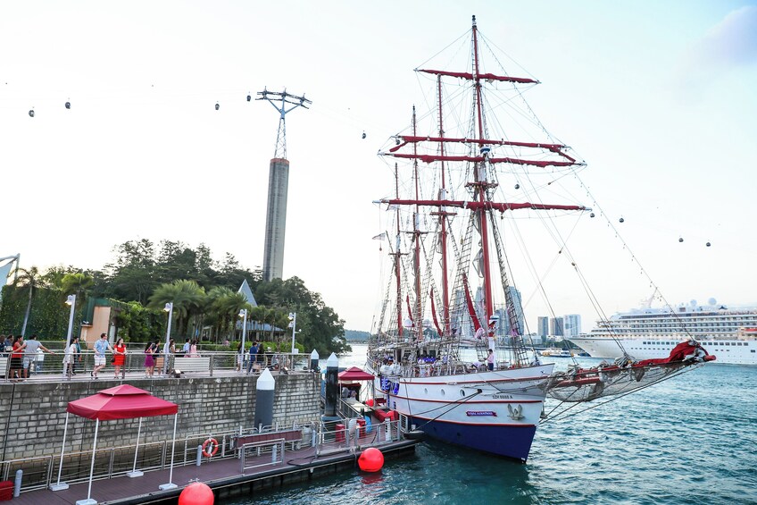 Royal Albatross Sunset Cruise with 4-Course Dinner