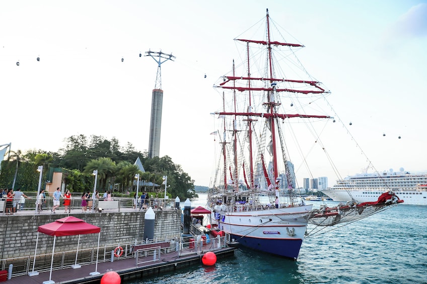 Royal Albatross Sunset Cruise with 4-Course Dinner