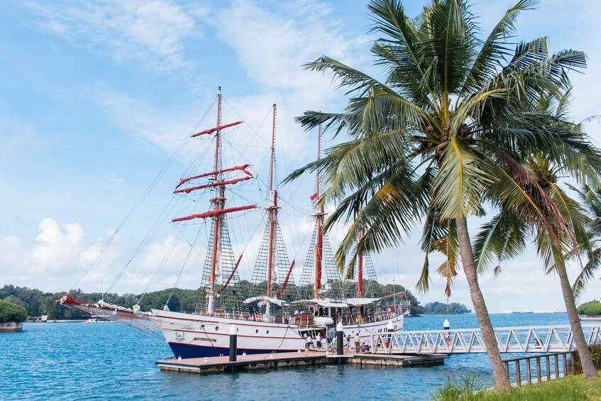 Royal Albatross Sunset Cruise with 4-Course Dinner