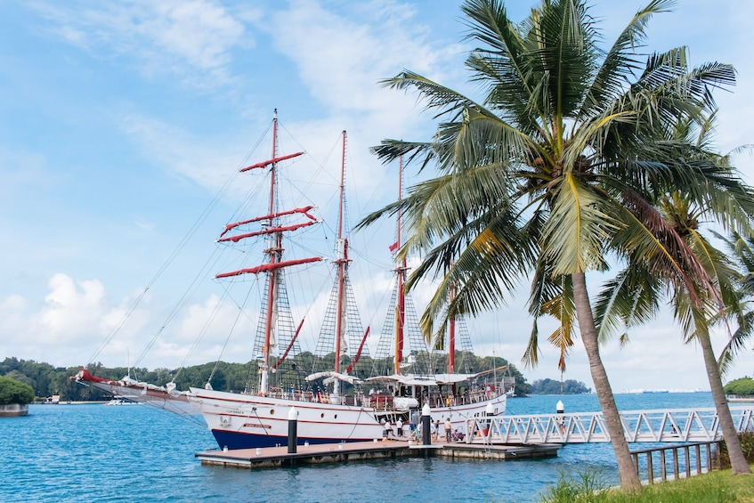Royal Albatross Sunset Cruise with 4-Course Dinner