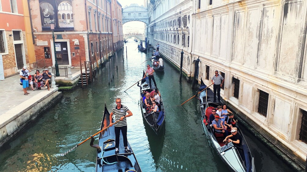 Venice full-day guided tour from Milan