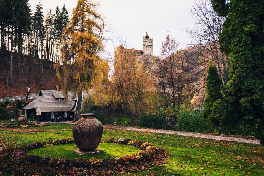 Meet Dracula and the Bears in One Day Private Tour