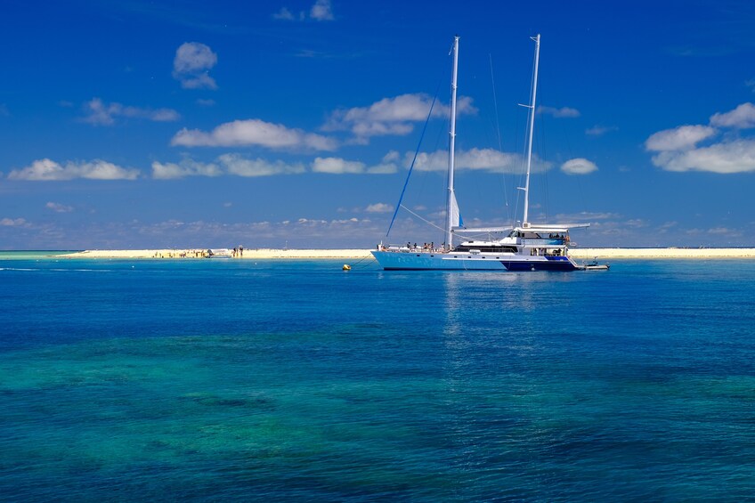 Ocean Spirit Michaelmas Cay & Reef Cruise