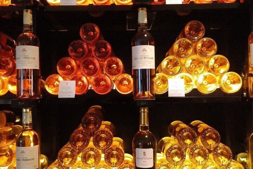 Private tour in the Sauternes wine region - discover Bordeaux sweet Crus Classés
