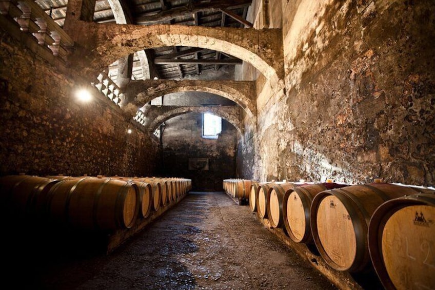Cellars