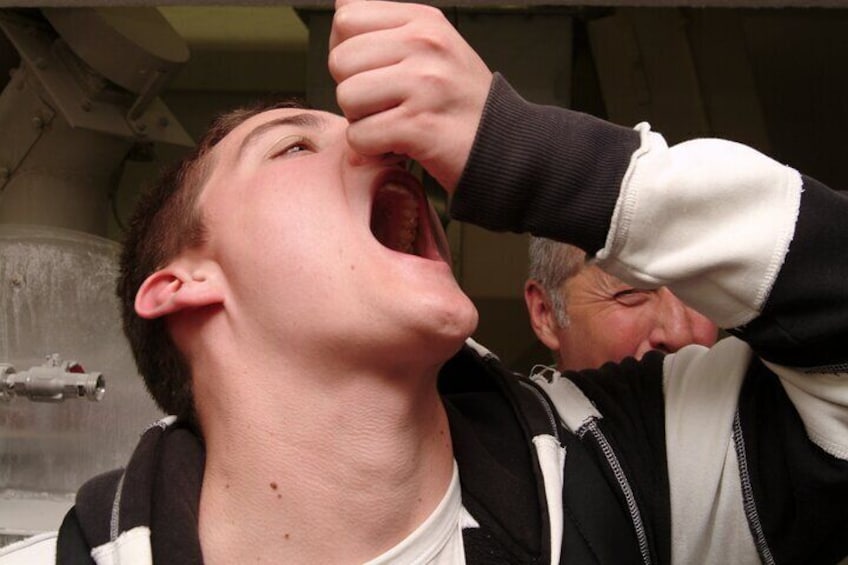 tasting the barley