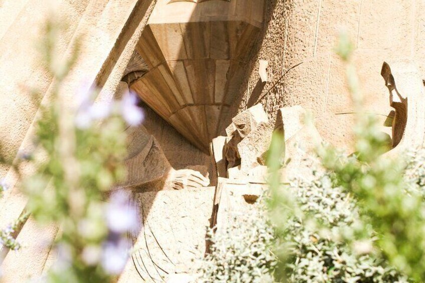 Skip the Line: Park Guell and La Sagrada Familia Guided Tour