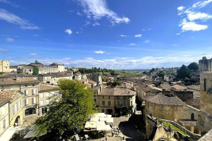 Medoc or Saint Emilion Wine Tasting and Chateau from Bordeaux