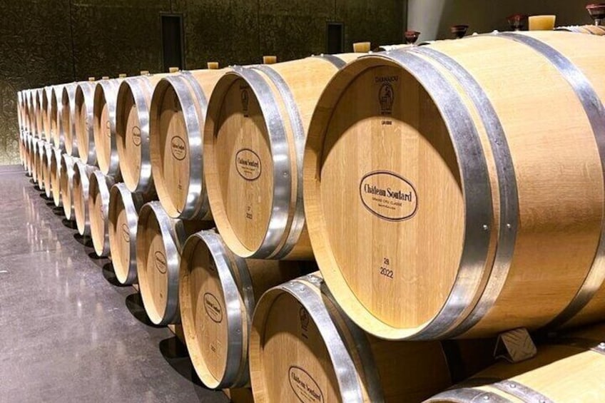 Medoc or St-Emilion Small-Group Wine Tasting and Chateaux Tour from Bordeaux
