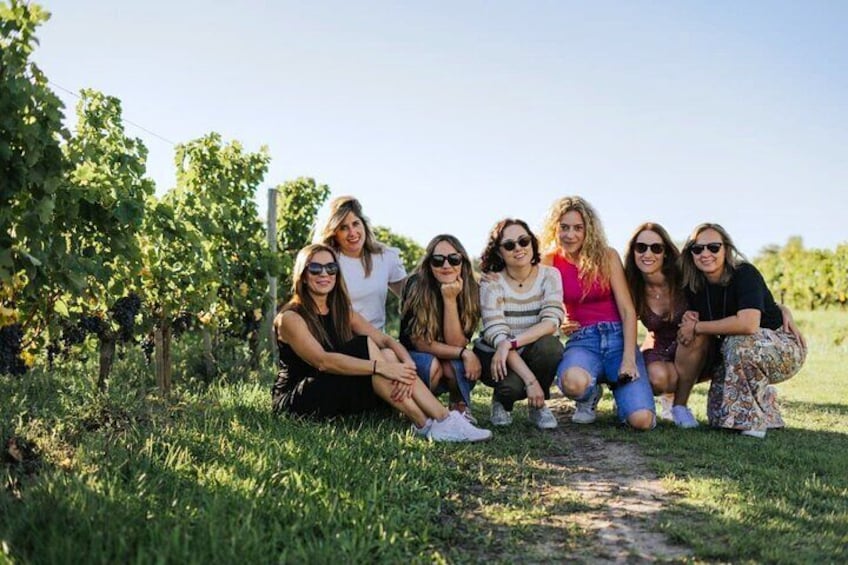Medoc or St-Emilion Small-Group Wine Tasting and Chateaux Tour from Bordeaux