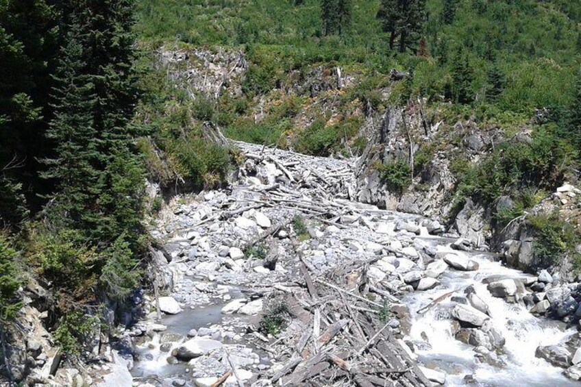 Mt. Rainier Private Tour Experience in SUV