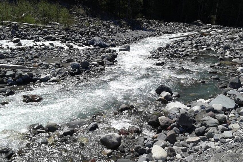Mt. Rainier Private Tour Experience in SUV