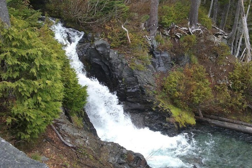 Mt. Rainier Private Tour Experience in SUV