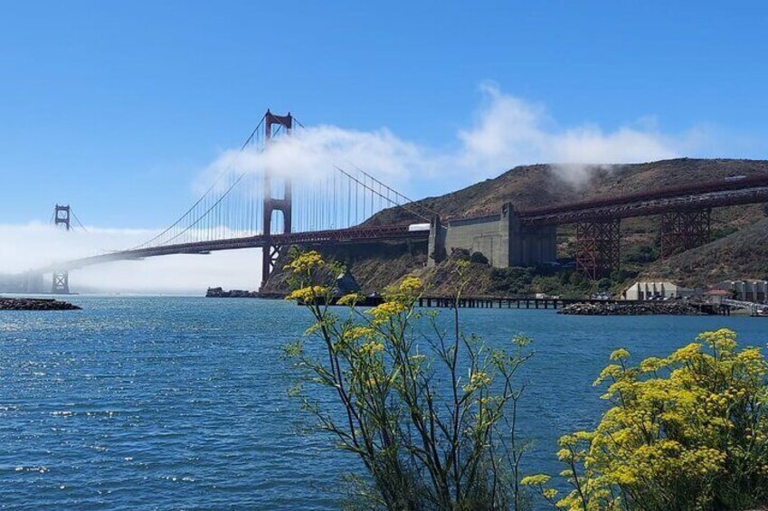 Muir Woods and Sausalito Small-Group Tour