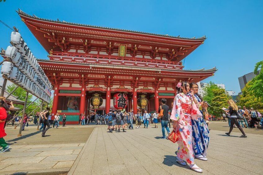 Tokyo Private Tour by Vehicle with English-Speaking Chauffeur