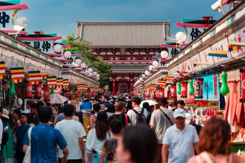 Tokyo Private Sightseeing Tour by English Speaking Chauffeur