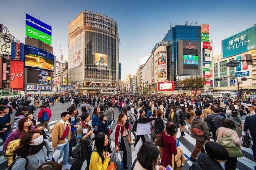 Tokyo Private Tour by Vehicle with English-Speaking Chauffeur