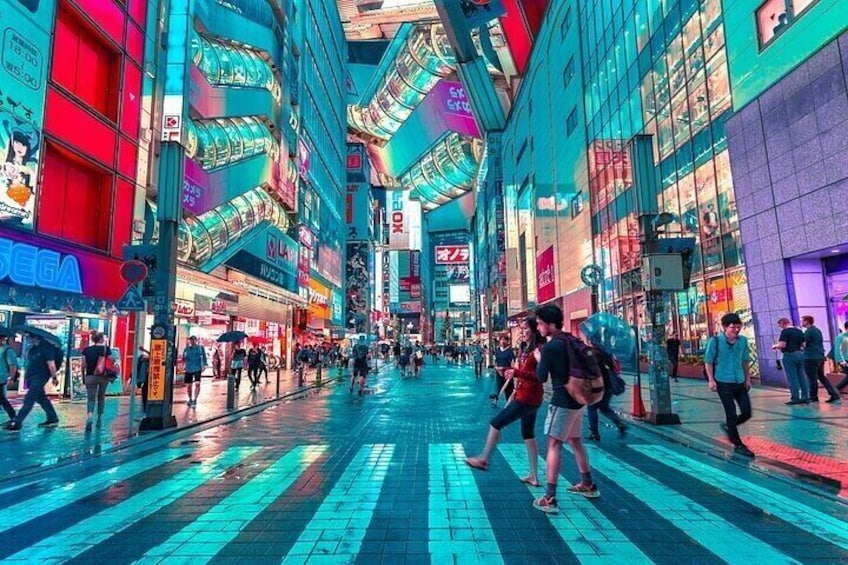 Tokyo Private Driving Tour by Car or Van with Chauffeur
