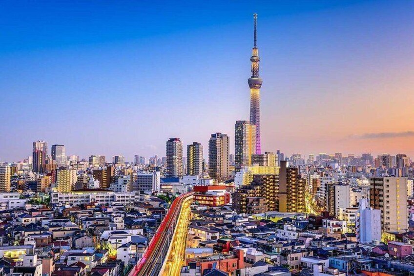 Experience Tokyo at your own pace.