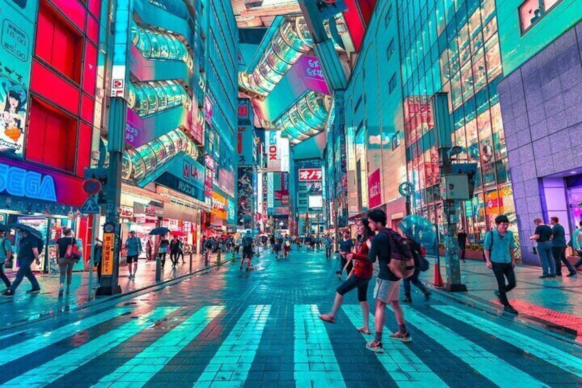 Tokyo Private Driving Tour by Car or Van with Chauffeur