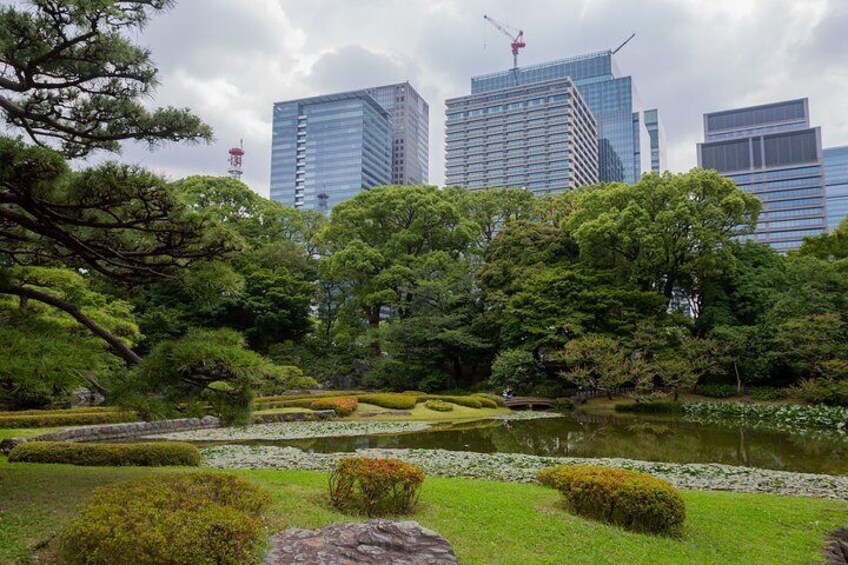 Take a breather in Shinjuku-Gyoen, Tokyo's most beautiful and important garden
