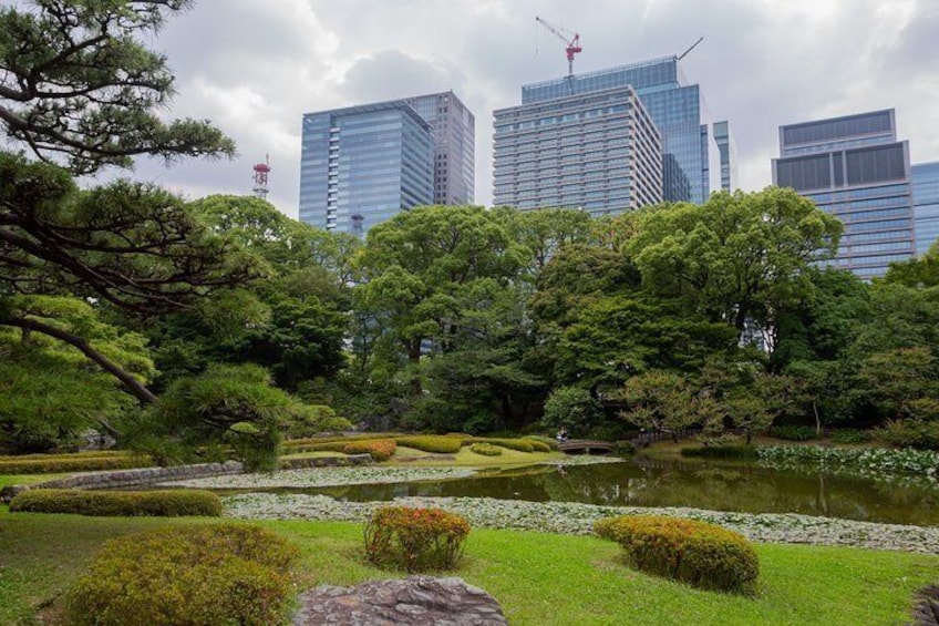 Take a breather in Shinjuku-Gyoen, Tokyo's most beautiful and important garden