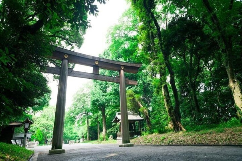 Tokyo Full-Day Private Tour with Nationally-Licensed Guide