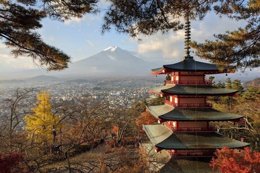 Private Car Tour to Mt. Fuji Lake Kawaguchiko or Hakone