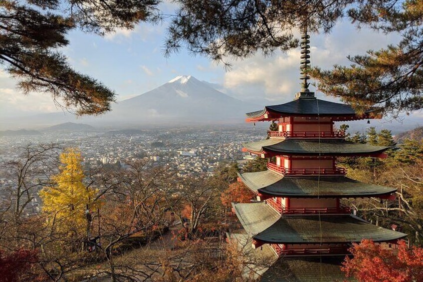 Private Car Tour to Mt. Fuji Lake Kawaguchiko or Hakone