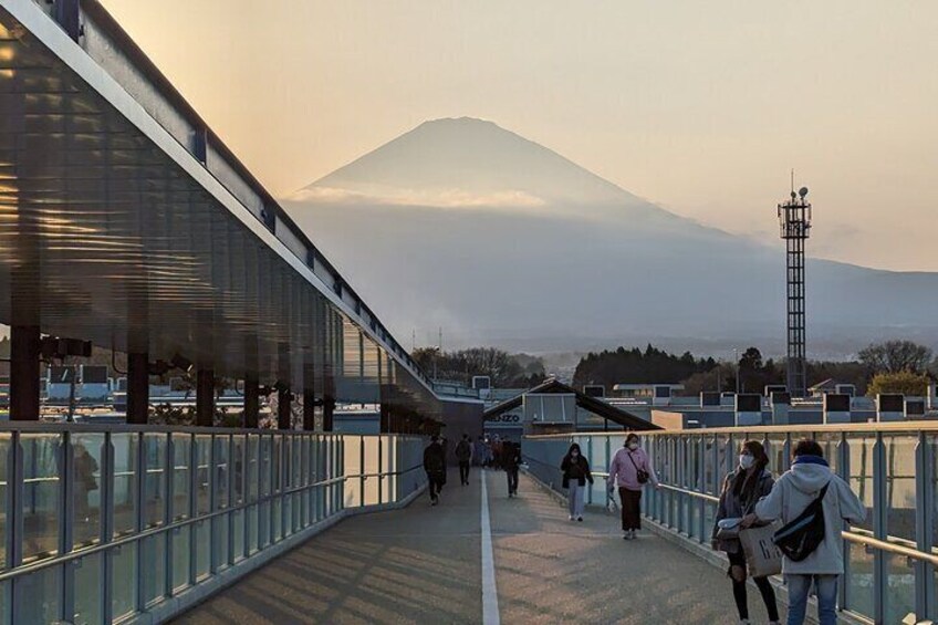Private Car Mt Fuji and Gotemba Outlet in One Day from Tokyo