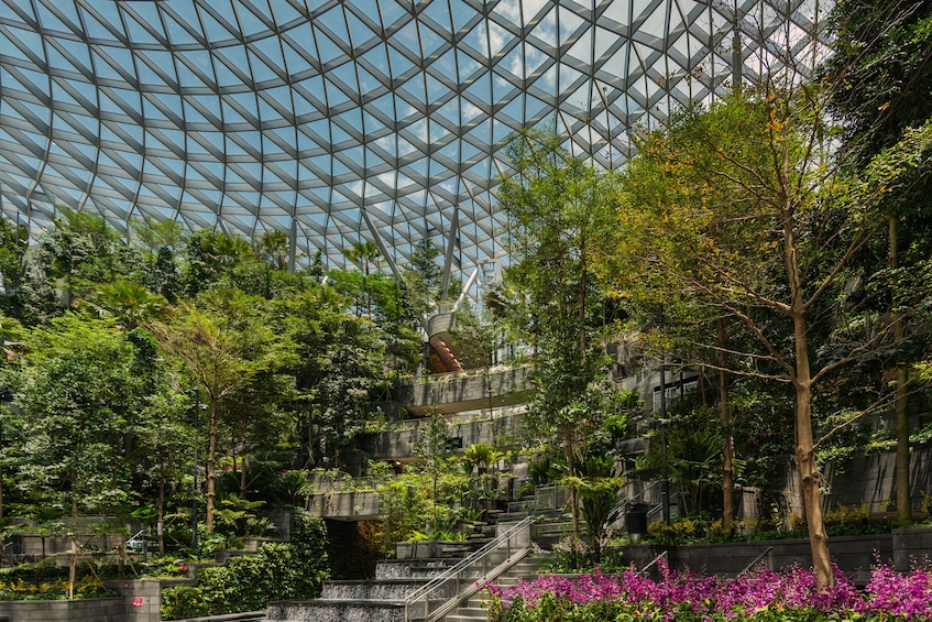 Jewel Changi Airport