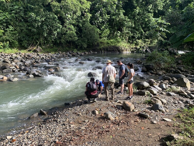 Rainforest River Adventure 