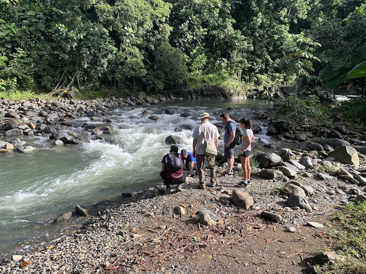 Rainforest River Adventure