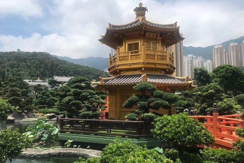 Discover the Best Instagram Spots in Hong Kong - Private tour