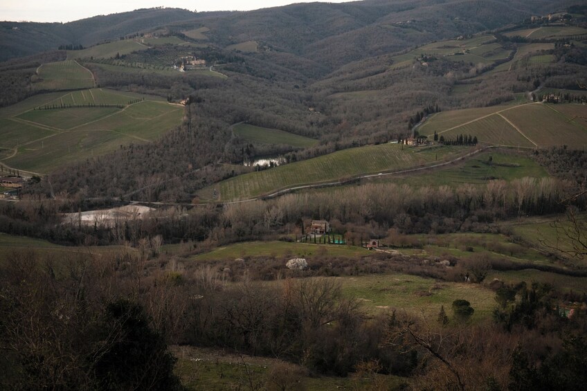 Wine Experience In Chianti Hills & Radda In Chianti
