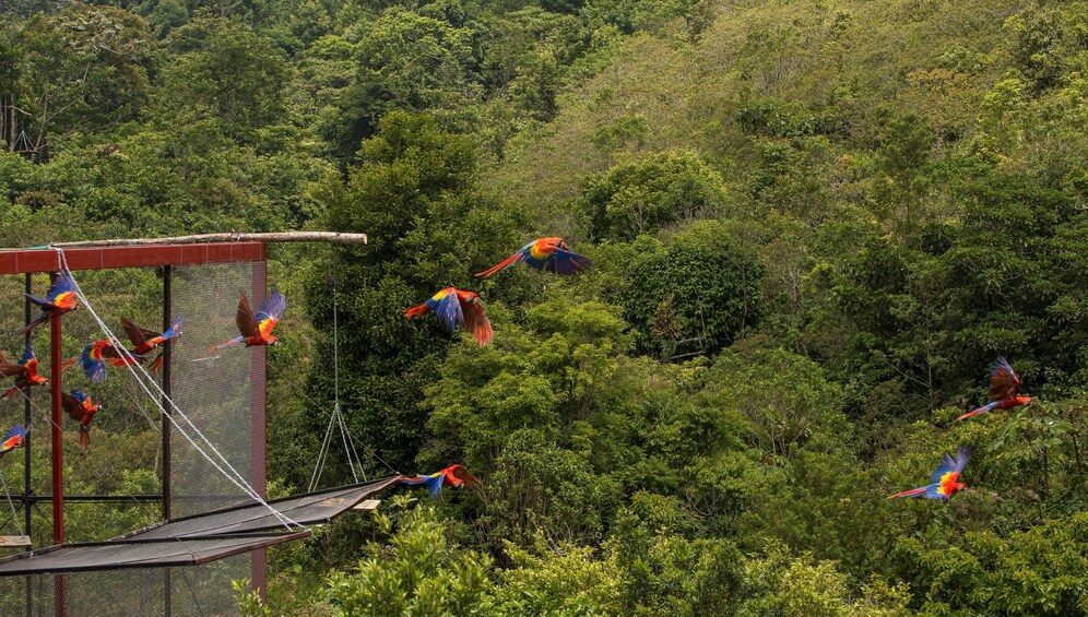 Catemaco & The Tuxtlas Day Trip from Veracruz (with boat)