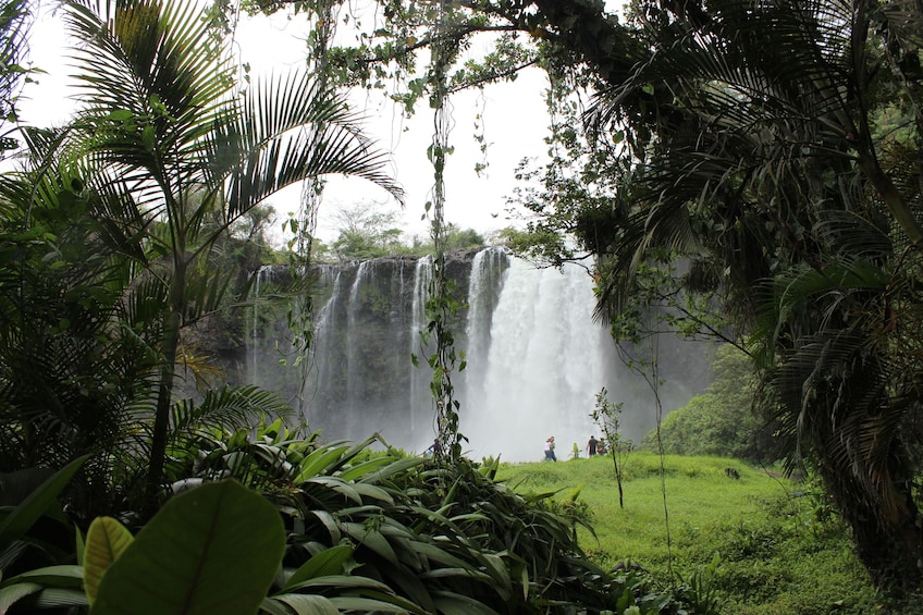 Catemaco & The Tuxtlas Day Trip from Veracruz (with boat)